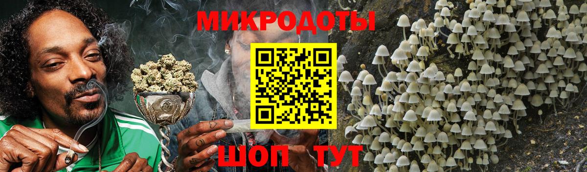 Сегежа  Галлюциногенные грибы мухоморы  Псилоцибиновые грибы Psilocybine cubensis  Вход с VPN 